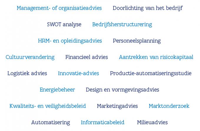 woordenwolk waarom extern advies